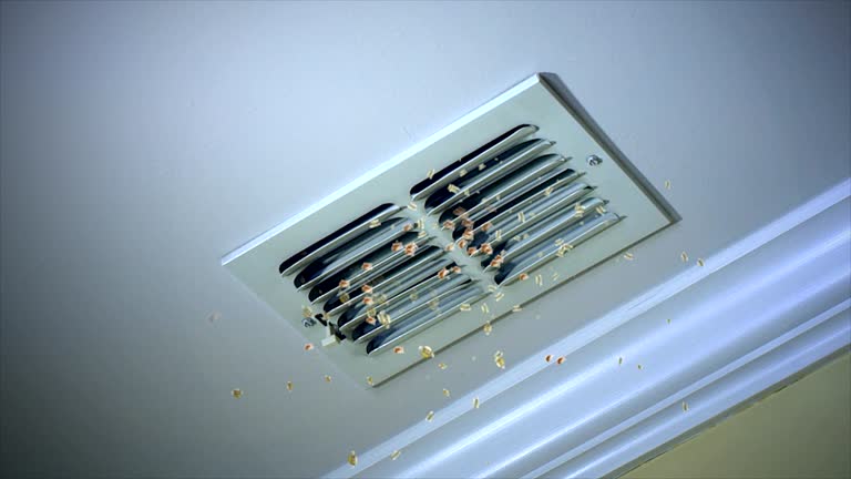 Best Emergency Air Duct Cleaning  in Blue Mound, IL
