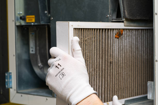 Best HVAC Duct Inspection Services  in Blue Mound, IL